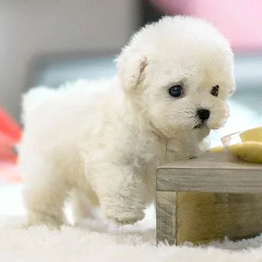PuppiBot™ Interactif avec Mouvements Réalistes - Science Factory FR