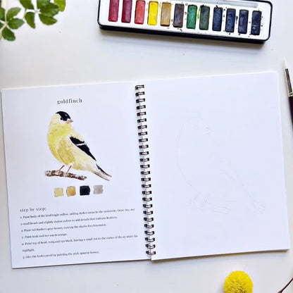 AquaRêve™ | Libérez votre créativité avec notre livre d’aquarelle ludique !