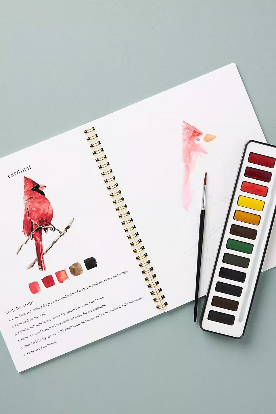 AquaRêve™ | Libérez votre créativité avec notre livre d’aquarelle ludique !