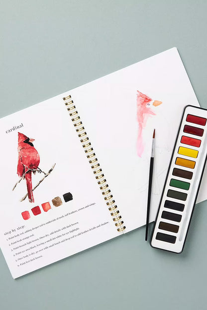 AquaRêve™ | Libérez votre créativité avec notre livre d’aquarelle ludique !