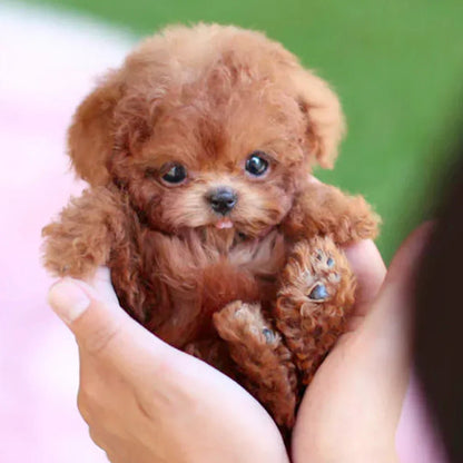 PuppiMate™ Chiot Robotique Ultra-Réaliste avec Mouvements Naturels