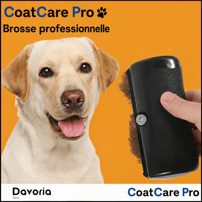 CoatCare Pro™ | La brosse ultime contre la perte de poils et les puces