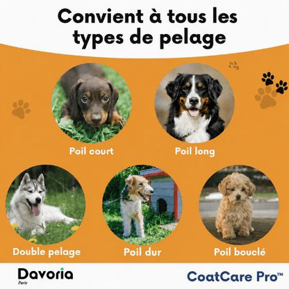 CoatCare Pro™ | La brosse ultime contre la perte de poils et les puces