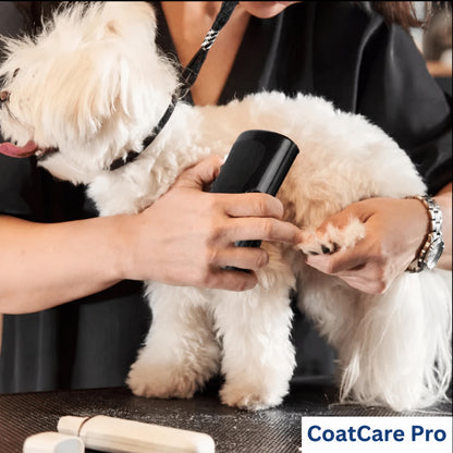 CoatCare Pro™ | La brosse ultime contre la perte de poils et les puces