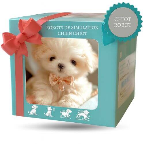 HugBuddy™ – Ton nouveau compagnon chien
