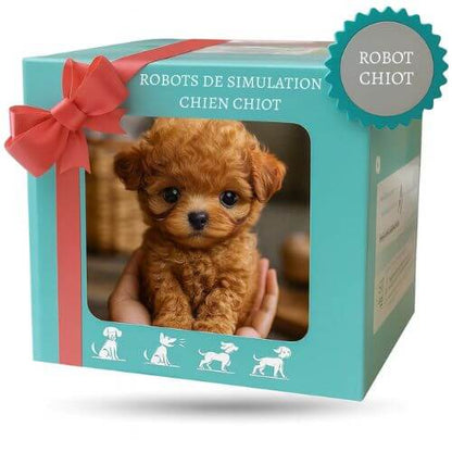 HugBuddy™ – Ton nouveau compagnon chien