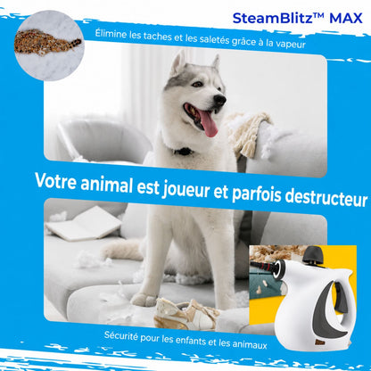 SteamBlitz™ | Nettoyage en profondeur sans produits chimiques – prêt en quelques secondes